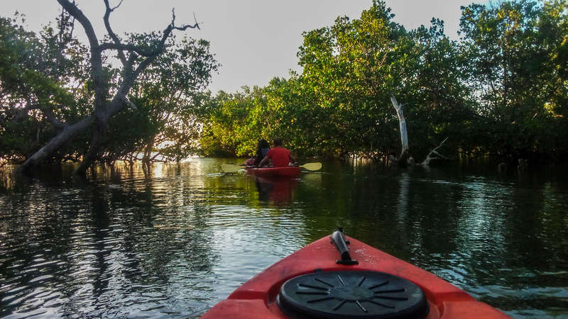 Funzi Island Tour - Image 4