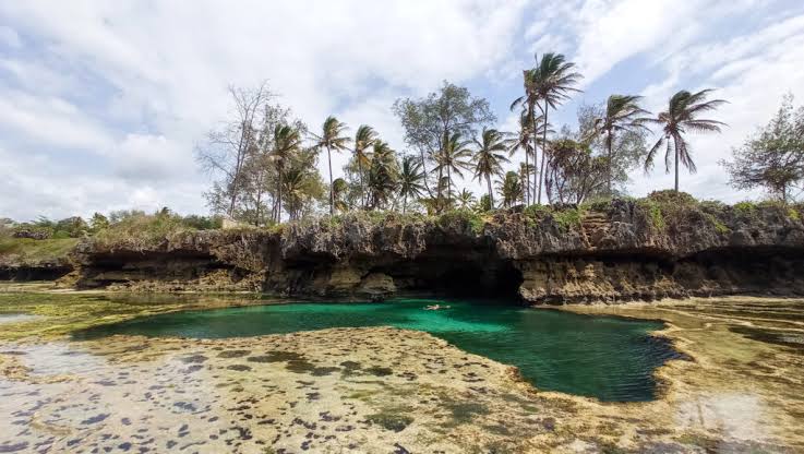 African Map Pool at Tiwi