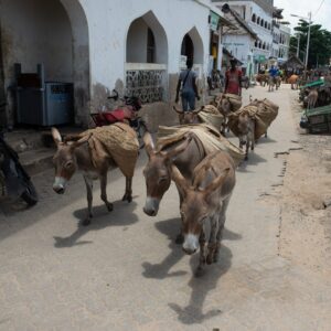 Coastal Village Tours