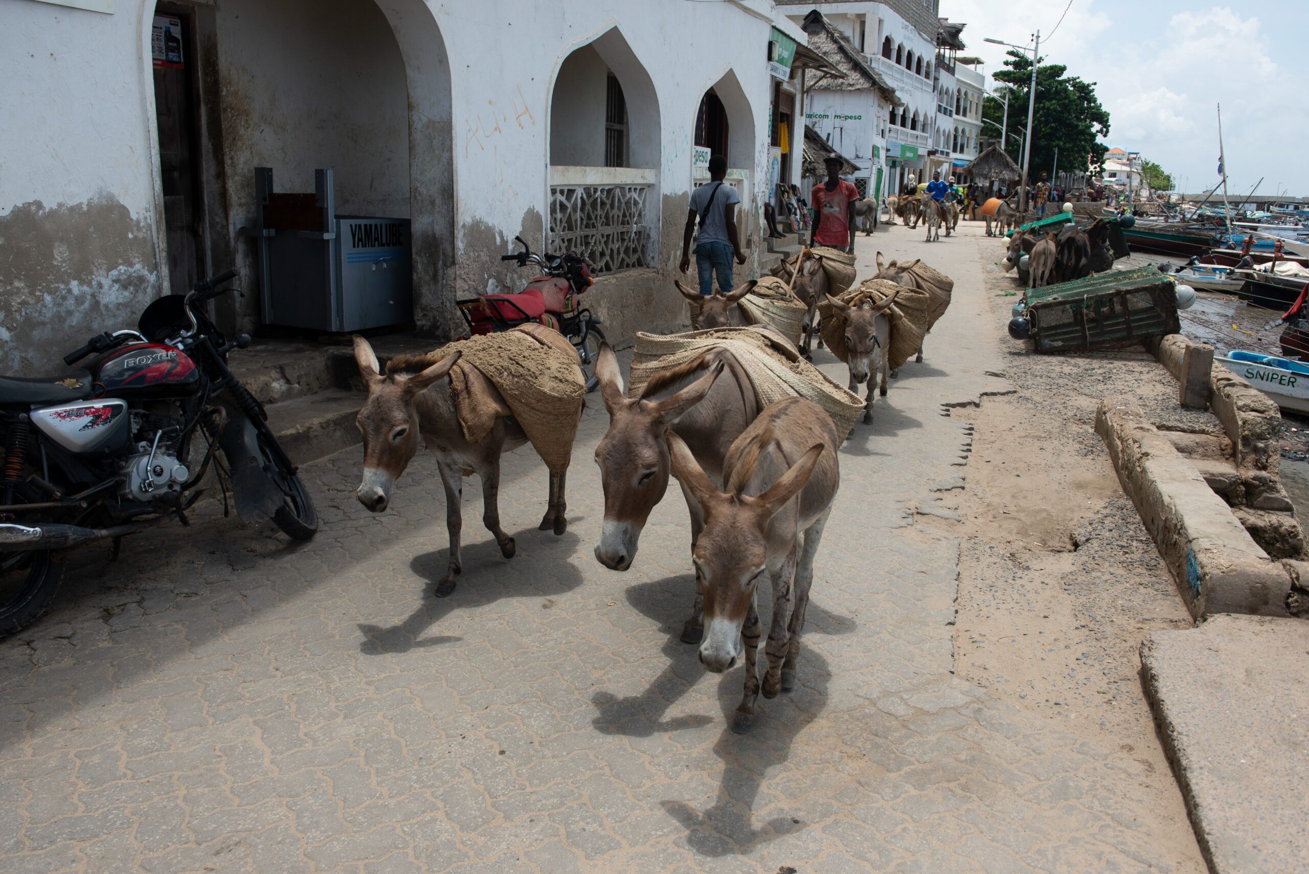 Coastal Village Tours