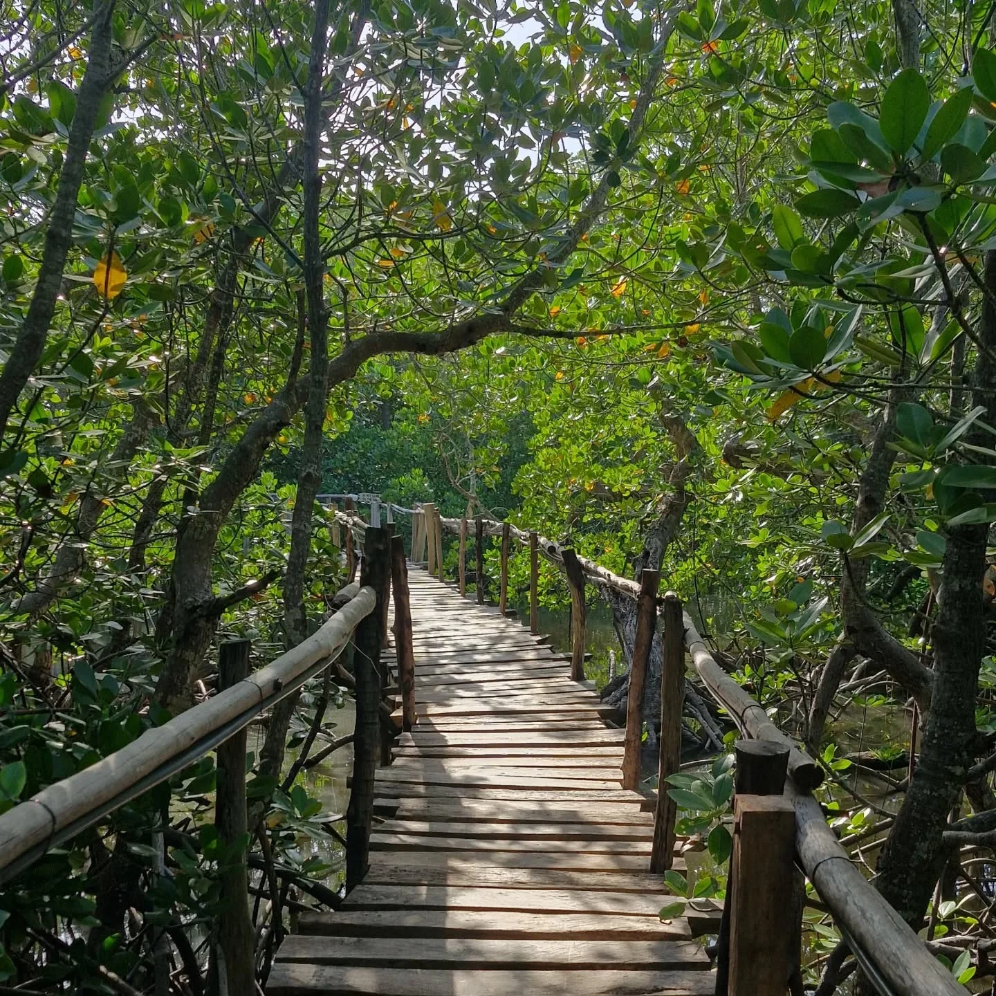 Kilifi Boardwalk & Snorkelling